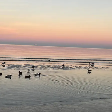 아파트 Ambienta - Wellenreiter Mit Strandkorb Am