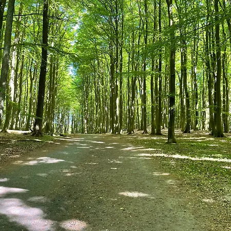 Apartamento Wellenreiter - Ambienta In Lage Im Zentrum *